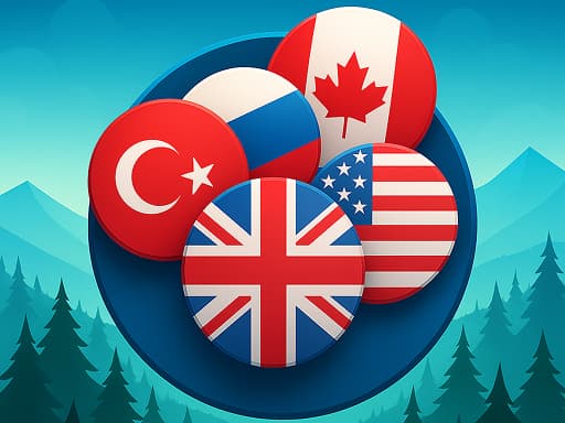Flag Merging Puzzle Game